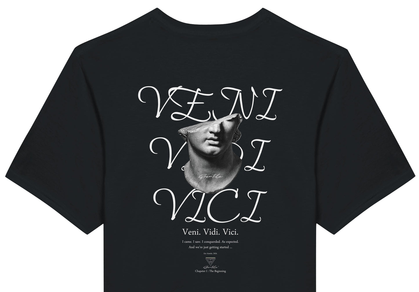 Veni. Vidi. Vici. Chapter I : The Beginning